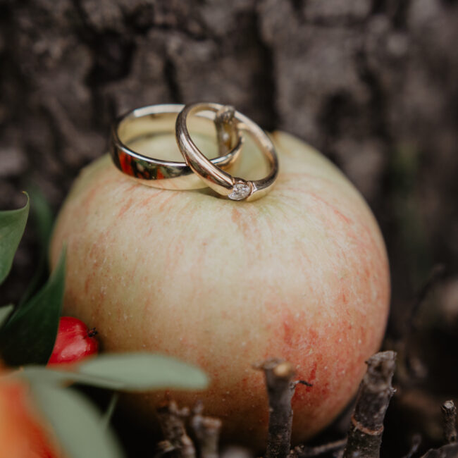 Hochzeitsplaner- Limburg- Montabaur- Koblenz- Wedding- Location-