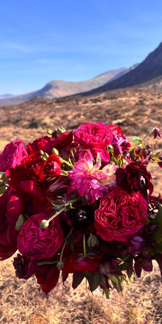 Hochzeitsplaner- Limburg- Montabaur- Koblenz-